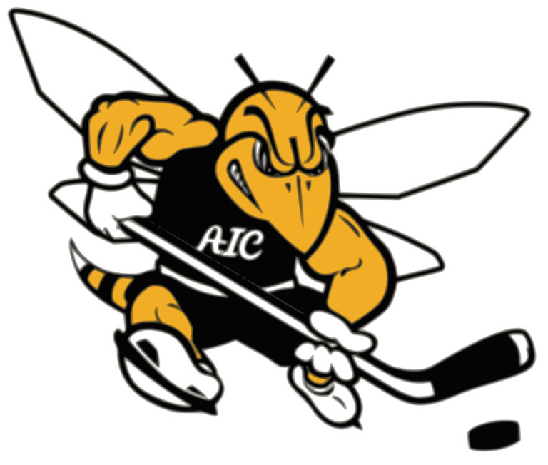 American International Yellow Jackets College Hockey History
